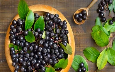 Studies Show That Chokeberry Extract May Improve Spatial Working Memory in Ol...