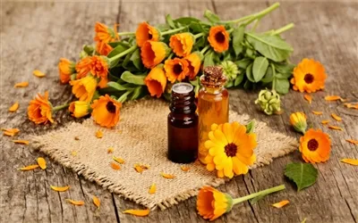 Give Your Skin A Fragrant, Soothing Treatment-Marigold Flower Extract