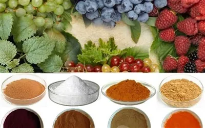 How Exactly Are Plant Extracts Classified?